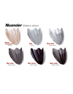 Bulle sport Ermax pour Honda CRF1100L Africa Twin  2020 et + 