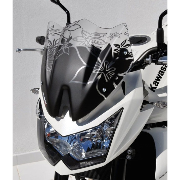 Saute vent sport Ermax pour Z 750 2007/2012 Couleur Ermax:Incolore Satin (opaque)