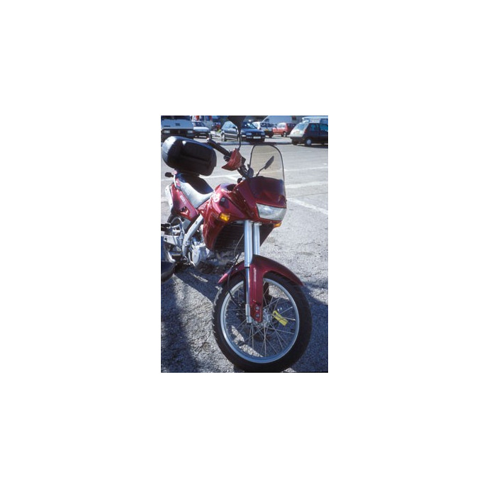 Bulle haute protection + 10 cm  Ermax pour 650 PEGASO 95/97 