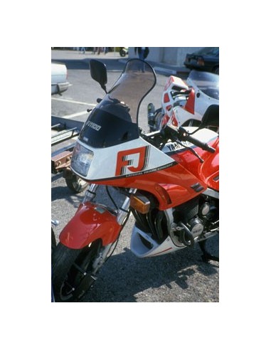 Bulle haute protection Ermax pour FJ 1100 