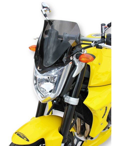 Saute vent  Ermax pour  FZ1 2006/2015 