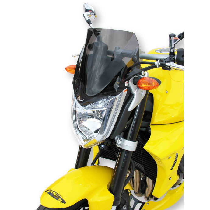 Saute vent  Ermax pour  FZ1 2006/2015 