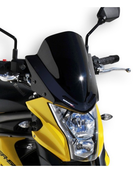 Saute vent sport Ermax pour ER 6 N 2012/2016 