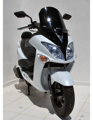 Pare brise sport Ermax pour JOYRIDE 125/200 I 2010-2016 