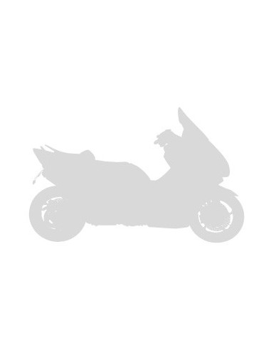 pare brise scooter taille origine Ermax pour NEXUS 125/250/300/500 2004/2023 