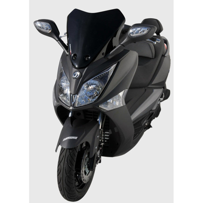 pare brise hyper sport Ermax pour GTS EFI/JOYMAX 125I/250I/300I 2013/2017 