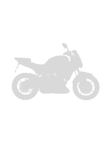 Bulle haute protection + 8 cm Ermax pour R 65 / R 100 RS 