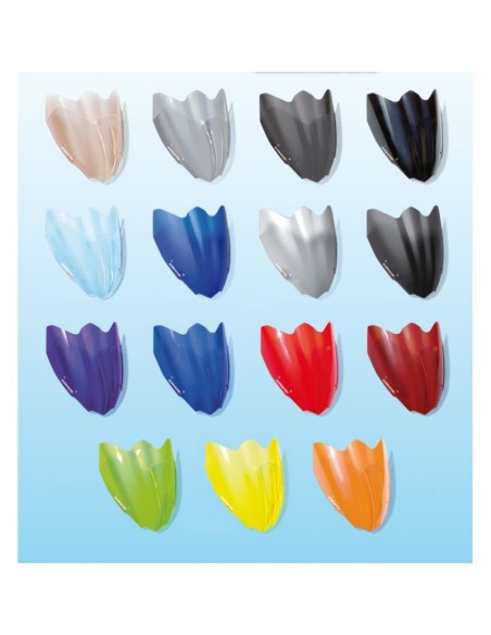 Bulle Aeromax Racing non percée Ermax - Kawasaki ZX-9R 2000-2005 