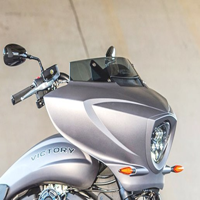 Bulle Standart (13 cm) VICTORY MAGNUM 2015/2016 