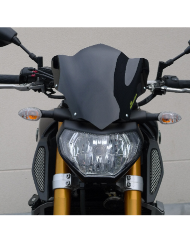 Saute vent YAMAHA 900 MT-09 2013/2014 