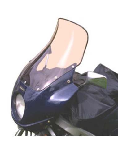 Bulle haute protection DIVERS RICARD (avec becquet) Toutes années 