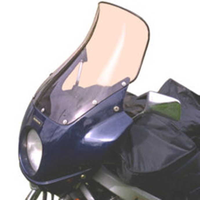 Bulle haute protection DIVERS RICARD (avec becquet) Toutes années 