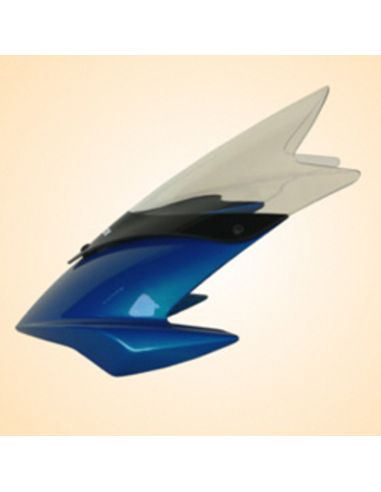 Bulle double courbure TRIUMPH SPEED TRIPLE 1050 2005/2010 